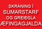 Borði