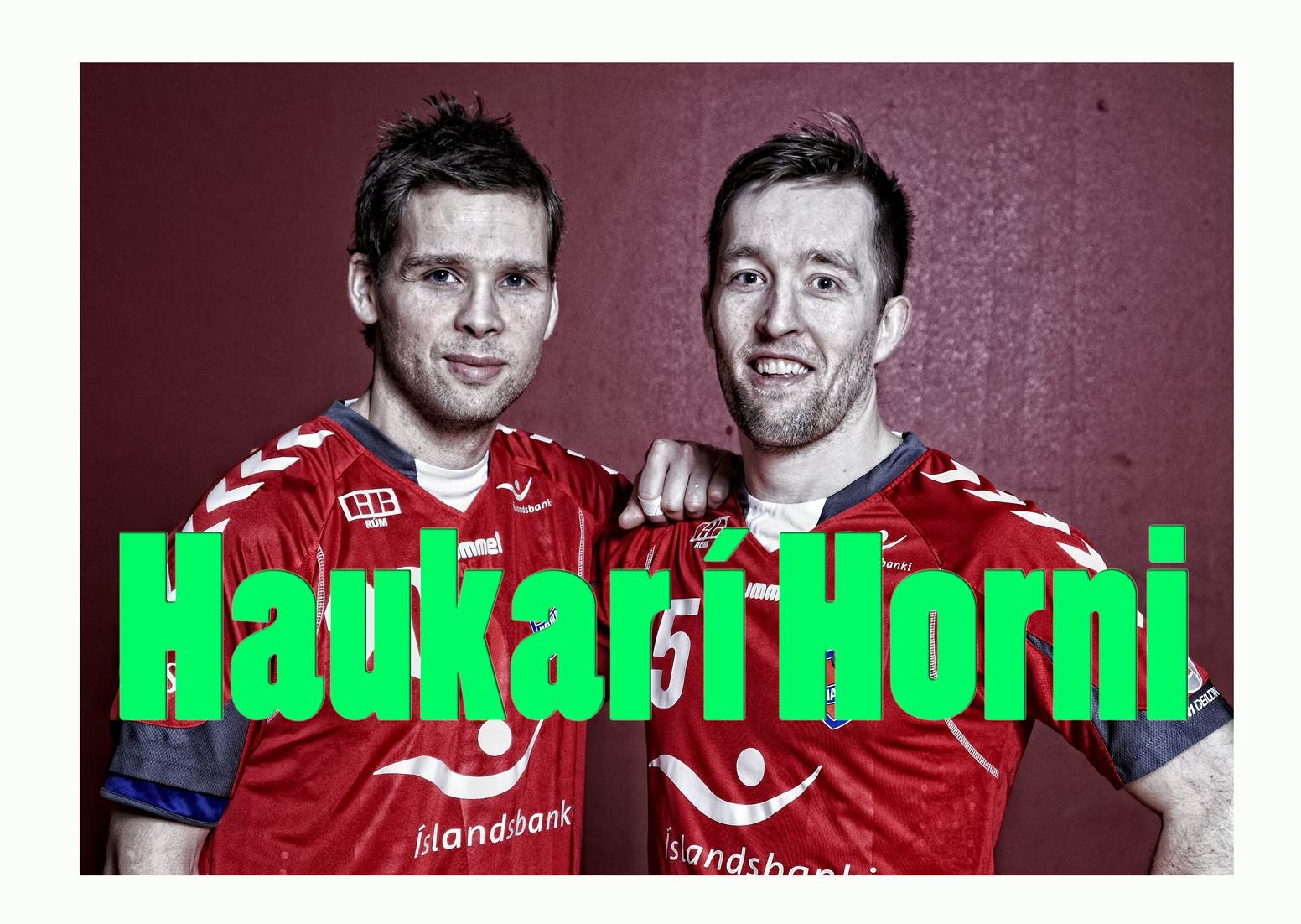Gylfi og Freyr eru okkar...